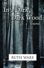 in a dark dark wood 